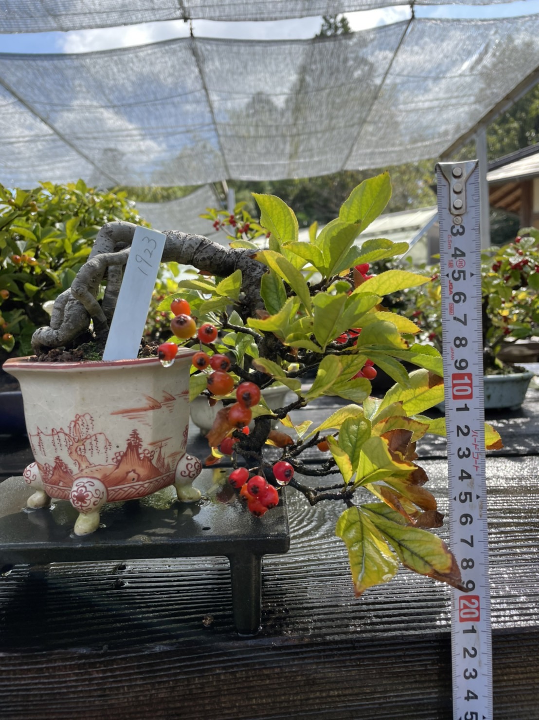  Những loại khác