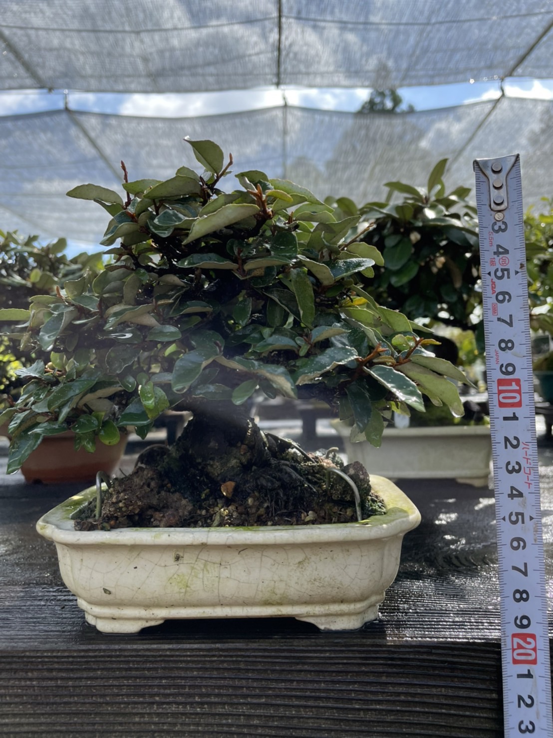  Những loại khác