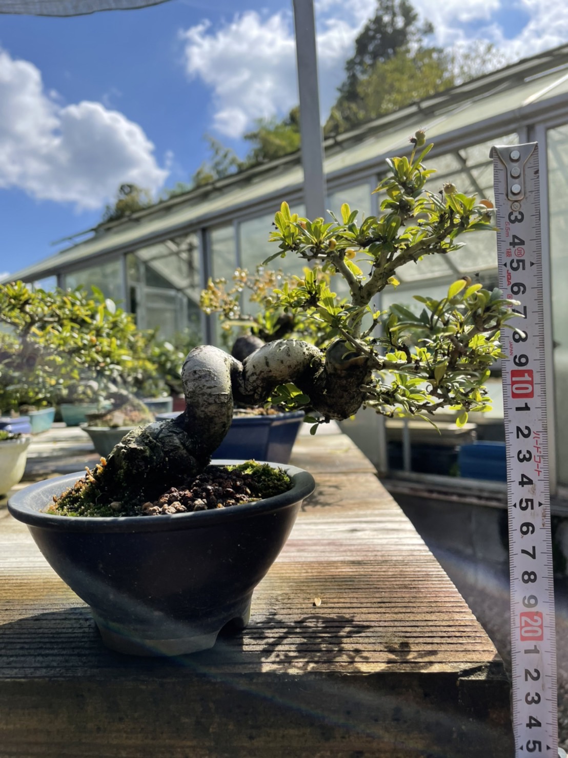  Những loại khác