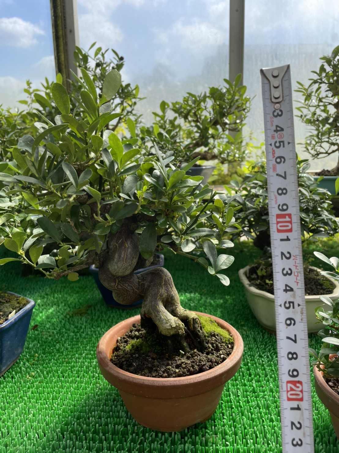  Những loại khác